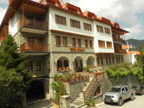 Hotel Apollon Métsovon